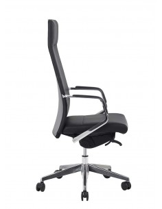 Fauteuil de Direction -... 2